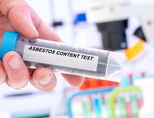 What You Need to Know About Asbestos Testing Newcastle
