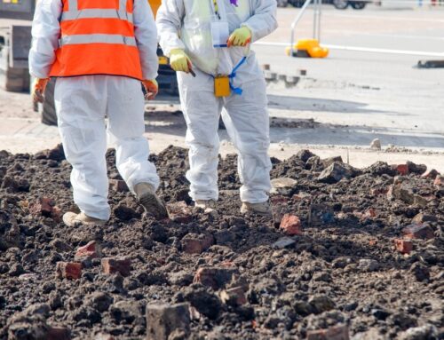 Newcastle Asbestos Removal: Safety and Disposal