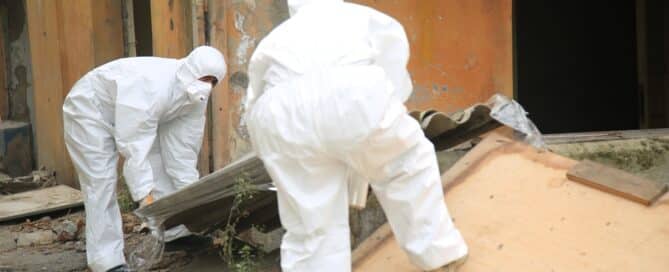 Professional Asbestos Removalists