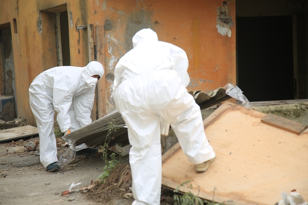 Professional Asbestos Removalists
