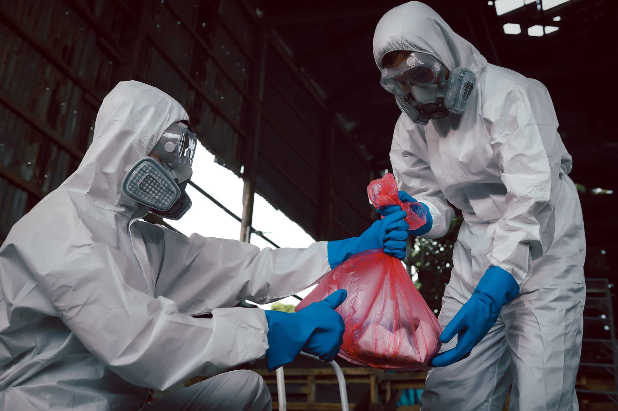 Asbestos Removal